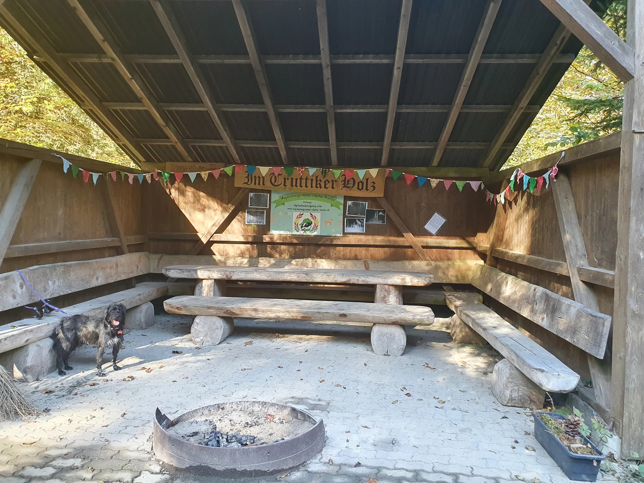 Waldspielgruppe Impression 13