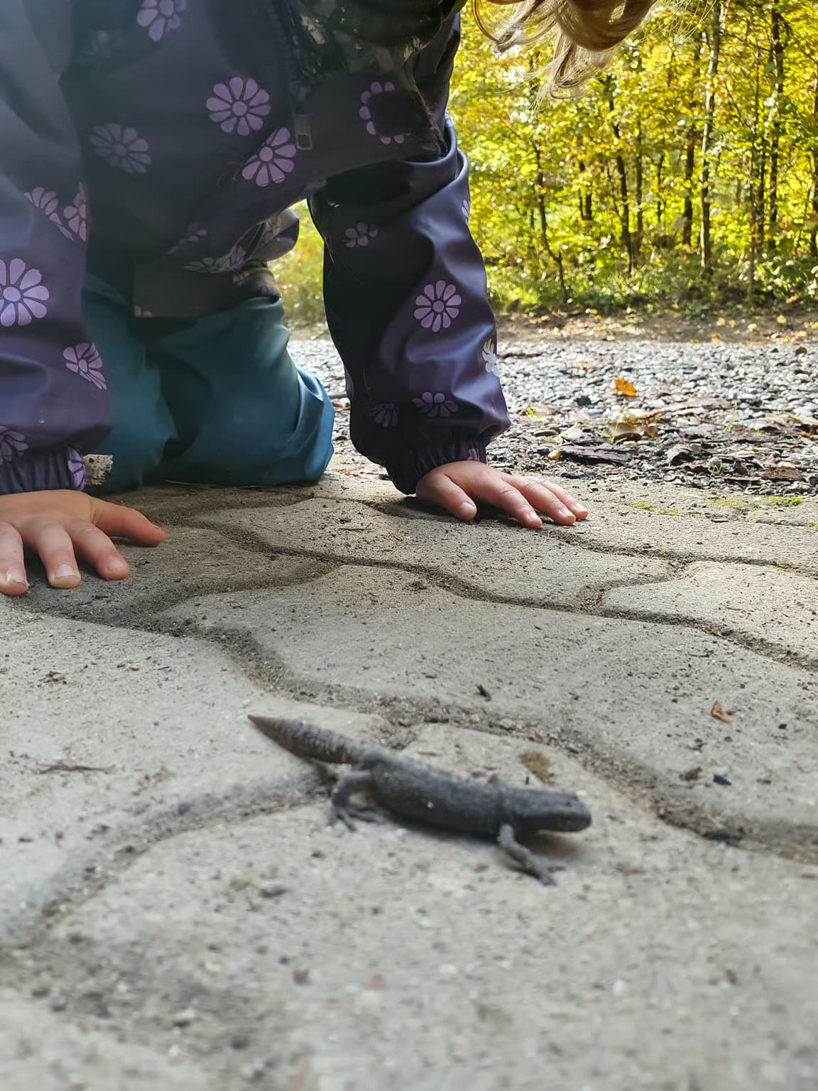 Waldspielgruppe Impression 15