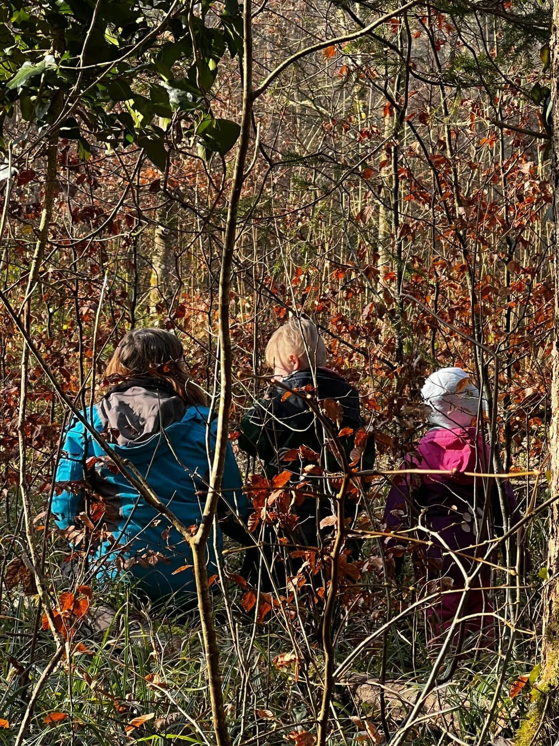 Waldspielgruppe Impression 18