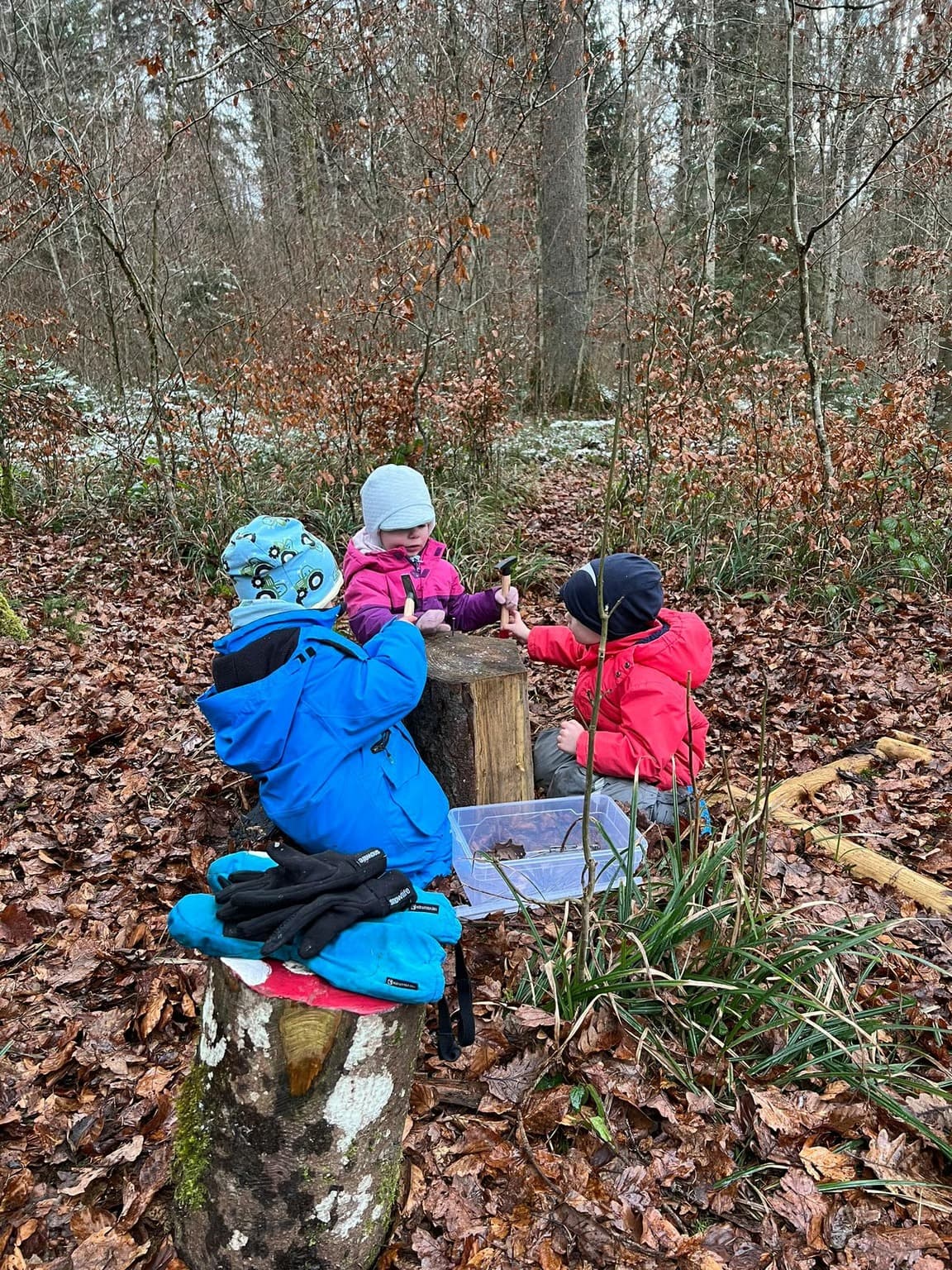 Waldspielgruppe Impression 22