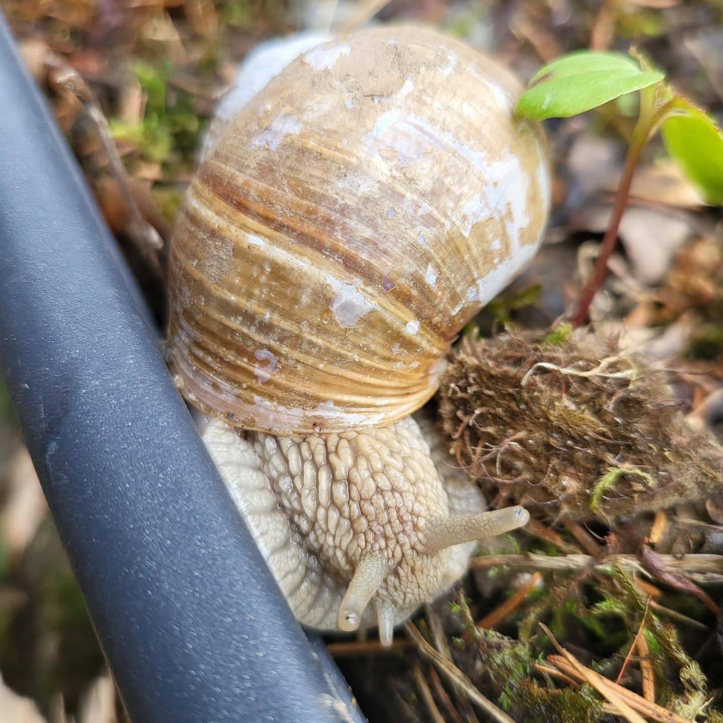 Waldspielgruppe Impression 32
