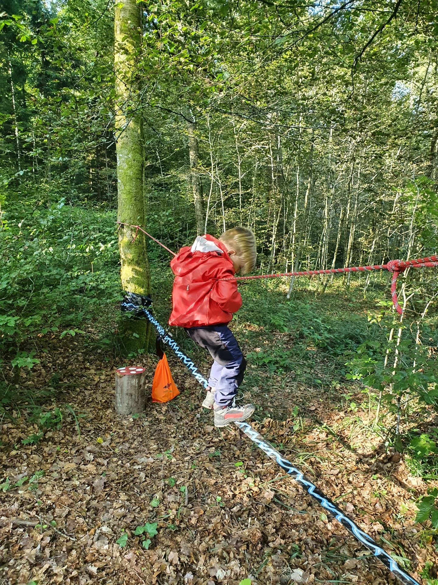 Waldspielgruppe Impression 39