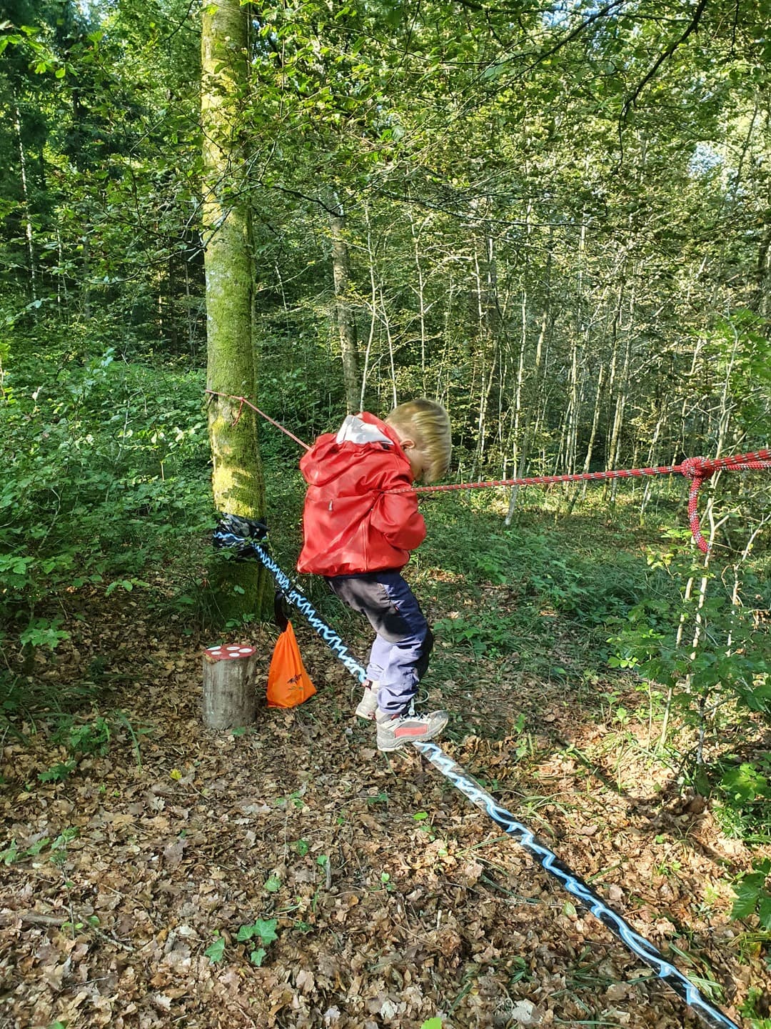 Waldspielgruppe Impression 40