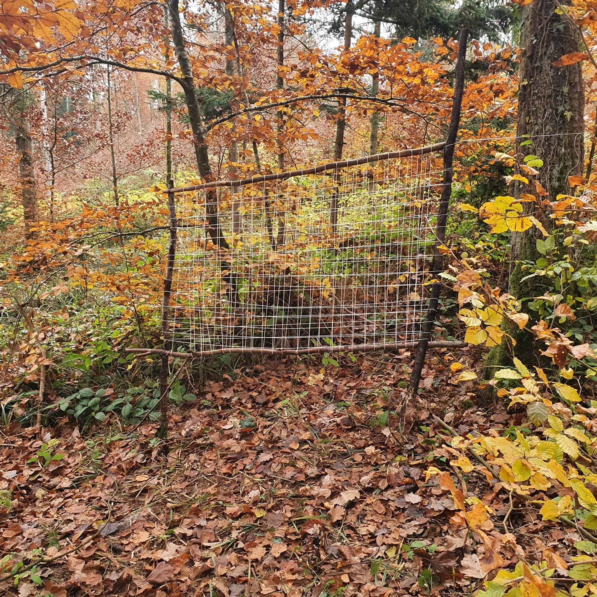 Waldspielgruppe Impression 45