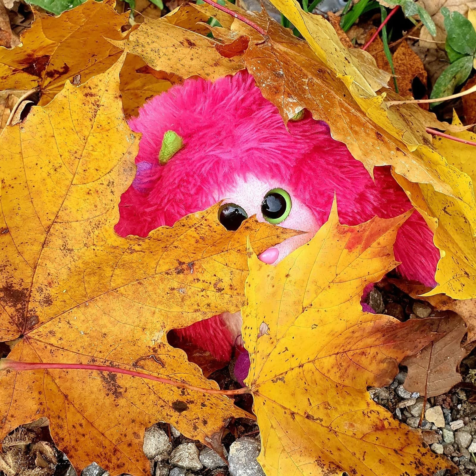 Waldspielgruppe Impression 46